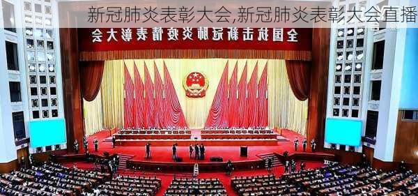 新冠肺炎表彰大会,新冠肺炎表彰大会直播