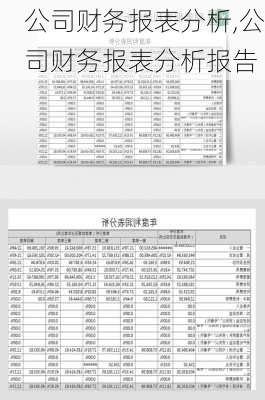 公司财务报表分析,公司财务报表分析报告