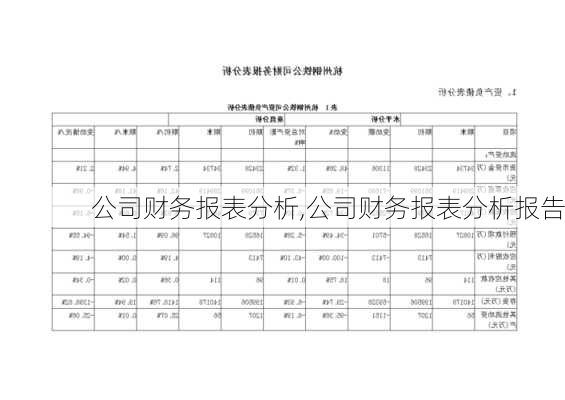 公司财务报表分析,公司财务报表分析报告-第3张图片-星梦范文网