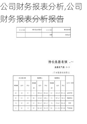 公司财务报表分析,公司财务报表分析报告-第2张图片-星梦范文网