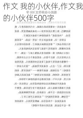 作文 我的小伙伴,作文我的小伙伴500字