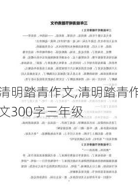 清明踏青作文,清明踏青作文300字三年级-第2张图片-星梦范文网