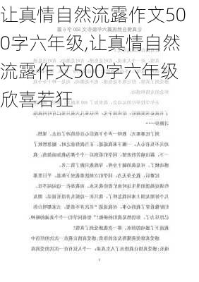 让真情自然流露作文500字六年级,让真情自然流露作文500字六年级欣喜若狂-第1张图片-星梦范文网