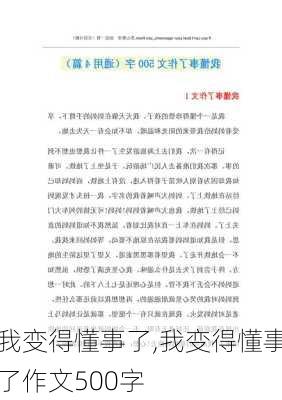 我变得懂事了,我变得懂事了作文500字-第3张图片-星梦范文网