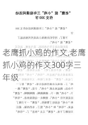 老鹰抓小鸡的作文,老鹰抓小鸡的作文300字三年级-第2张图片-星梦范文网