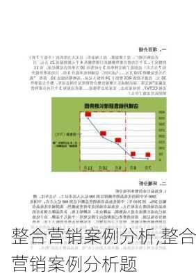 整合营销案例分析,整合营销案例分析题-第3张图片-星梦范文网