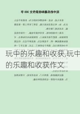 玩中的乐趣和收获,玩中的乐趣和收获作文