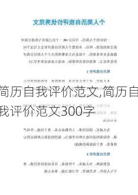 简历自我评价范文,简历自我评价范文300字-第2张图片-星梦范文网