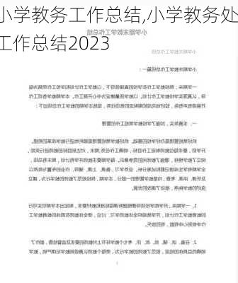 小学教务工作总结,小学教务处工作总结2023-第2张图片-星梦范文网