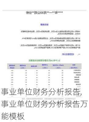 事业单位财务分析报告,事业单位财务分析报告万能模板