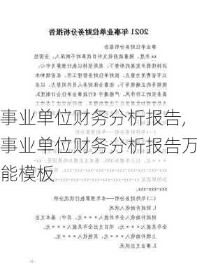 事业单位财务分析报告,事业单位财务分析报告万能模板-第3张图片-星梦范文网