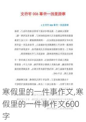 寒假里的一件事作文,寒假里的一件事作文600字