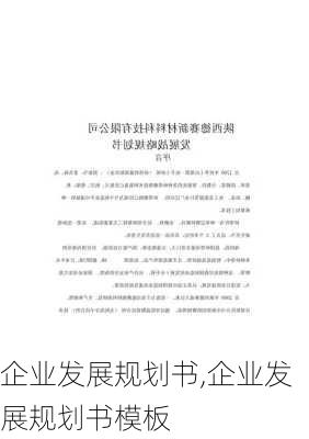 企业发展规划书,企业发展规划书模板-第3张图片-星梦范文网