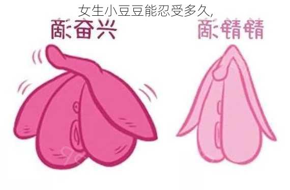 女生小豆豆能忍受多久,