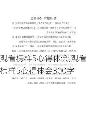 观看榜样5心得体会,观看榜样5心得体会300字-第2张图片-星梦范文网