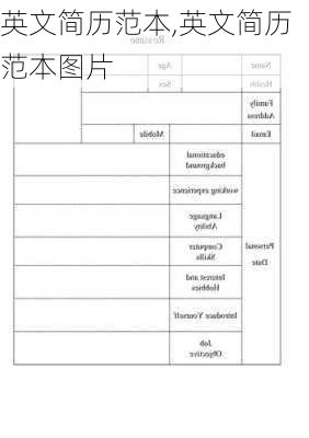 英文简历范本,英文简历范本图片-第2张图片-星梦范文网