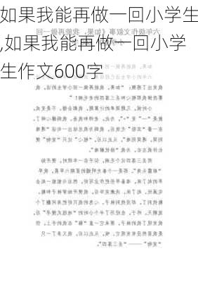 如果我能再做一回小学生,如果我能再做一回小学生作文600字-第2张图片-星梦范文网