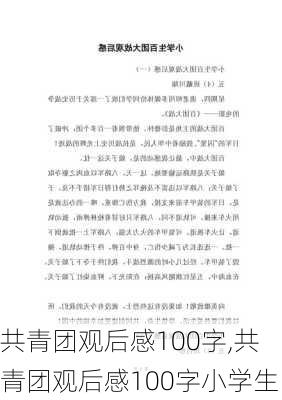 共青团观后感100字,共青团观后感100字小学生-第1张图片-星梦范文网