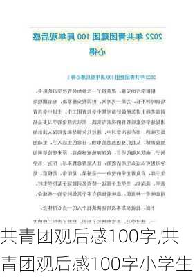 共青团观后感100字,共青团观后感100字小学生-第3张图片-星梦范文网