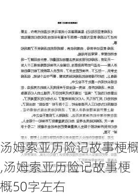 汤姆索亚历险记故事梗概,汤姆索亚历险记故事梗概50字左右-第2张图片-星梦范文网