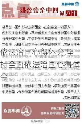 依法治国心得体会,坚持全面依法治国心得体会-第3张图片-星梦范文网