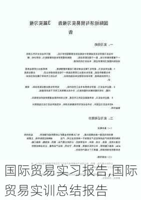 国际贸易实习报告,国际贸易实训总结报告-第3张图片-星梦范文网