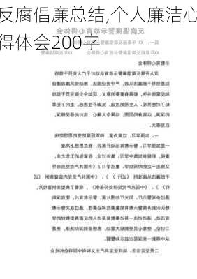 反腐倡廉总结,个人廉洁心得体会200字-第3张图片-星梦范文网