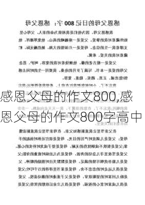 感恩父母的作文800,感恩父母的作文800字高中-第2张图片-星梦范文网