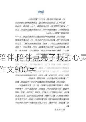 陪伴,陪伴点亮了我的心灵作文800字