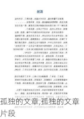 孤独的文章,孤独的文章片段-第3张图片-星梦范文网