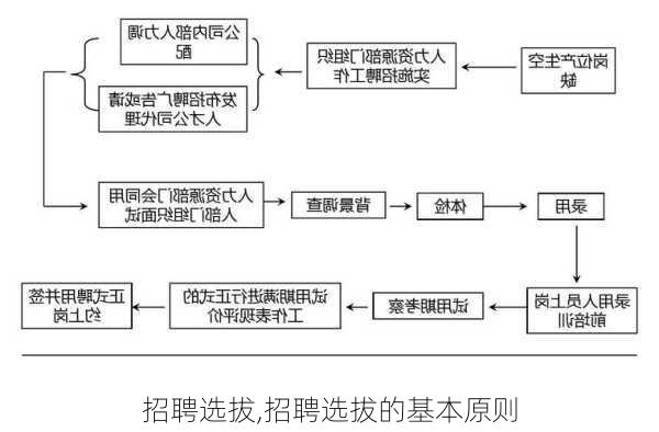 招聘选拔,招聘选拔的基本原则-第1张图片-星梦范文网