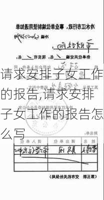 请求安排子女工作的报告,请求安排子女工作的报告怎么写-第2张图片-星梦范文网