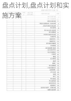 盘点计划,盘点计划和实施方案-第1张图片-星梦范文网