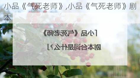 小品《气死老师》,小品《气死老师》剧本-第2张图片-星梦范文网