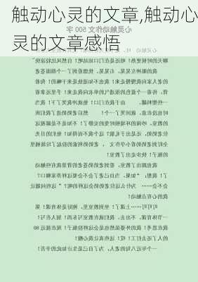 触动心灵的文章,触动心灵的文章感悟