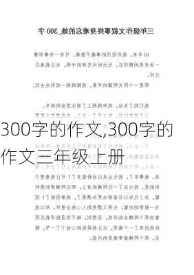 300字的作文,300字的作文三年级上册-第2张图片-星梦范文网