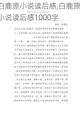 白鹿原小说读后感,白鹿原小说读后感1000字-第3张图片-星梦范文网