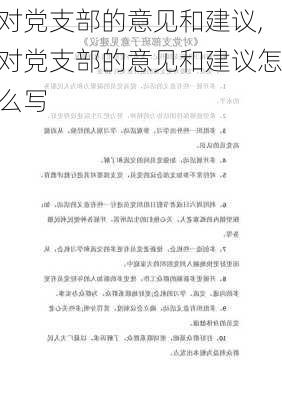 对党支部的意见和建议,对党支部的意见和建议怎么写-第3张图片-星梦范文网