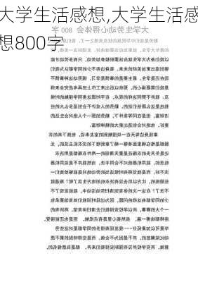 大学生活感想,大学生活感想800字-第1张图片-星梦范文网