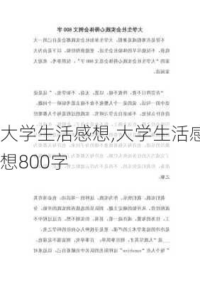 大学生活感想,大学生活感想800字-第3张图片-星梦范文网