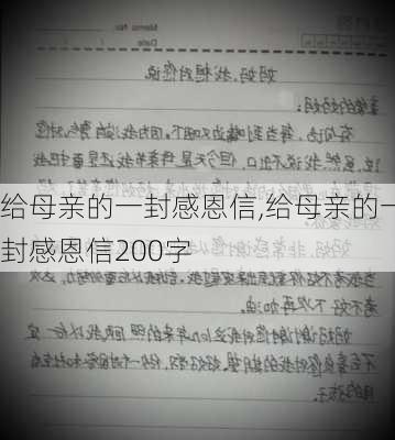 给母亲的一封感恩信,给母亲的一封感恩信200字-第3张图片-星梦范文网