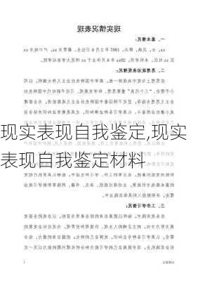 现实表现自我鉴定,现实表现自我鉴定材料-第2张图片-星梦范文网