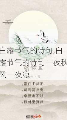 白露节气的诗句,白露节气的诗句一夜秋风一夜凉