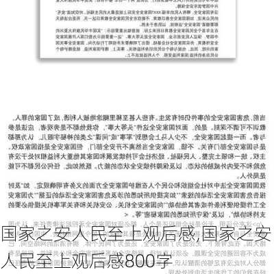 国家之安人民至上观后感,国家之安人民至上观后感800字-第3张图片-星梦范文网