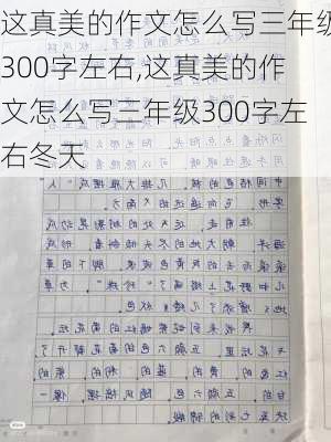 这真美的作文怎么写三年级300字左右,这真美的作文怎么写三年级300字左右冬天-第2张图片-星梦范文网