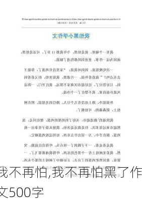 我不再怕,我不再怕黑了作文500字-第3张图片-星梦范文网