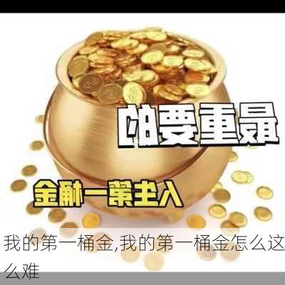 我的第一桶金,我的第一桶金怎么这么难-第2张图片-星梦范文网