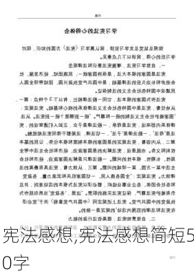 宪法感想,宪法感想简短50字-第3张图片-星梦范文网