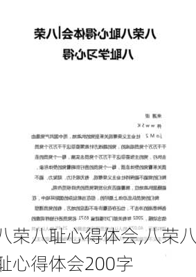 八荣八耻心得体会,八荣八耻心得体会200字-第3张图片-星梦范文网