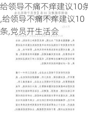 给领导不痛不痒建议10条,给领导不痛不痒建议10条,党员开生活会